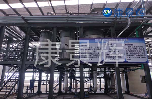多效降膜蒸發(fā)器可以用來濃縮處理廢水，特別適合處理牛奶、淀粉、葡萄糖等食品廠廢水的加工處理中
